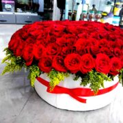 Red Roses 1
