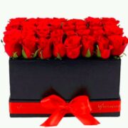 Red Roses 2