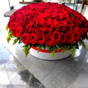 Red Roses 3