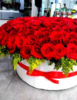 Red Roses in White Box