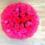 Red roses 1