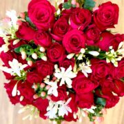 Red roses 2