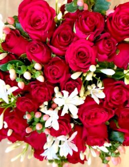 Red Roses