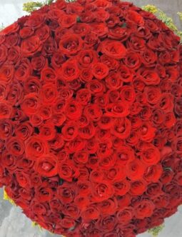 Red Roses