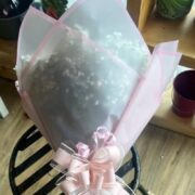Roses Red and Pink and White 1