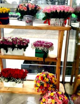 Shelf with various flower boxes