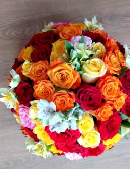 Yellow, Red, White and Orange Roses