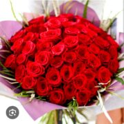 red roses.