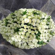 white roses 1